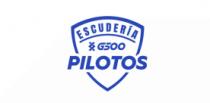 ESCUDERÍA G500 PILOTOS