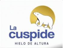 LA CUSPIDE HIELO DE ALTURA