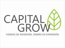 CAPITAL GROW FONDOS DE INVERSIÓN; DINERO EN EXPANSIÓN