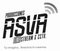 PRODUCCIONES ASVA LIVE STREAM & CCTV TÚ IMAGINA... NOSOTROS LO CREAMOS