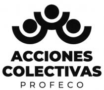 ACCIONES COLECTIVAS PROFECO