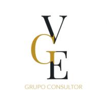 VGE GRUPO CONSULTOR