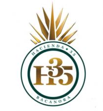 H35 HACIENDA 35 (Y DISEÑO)
