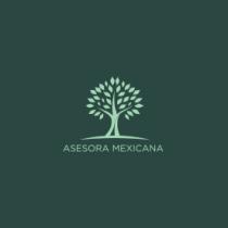 ASESORA MEXICANA