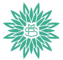 MSP