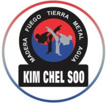 MADERA FUEGO TIERRA METAL AGUA KIM CHEL SOO