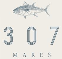 307 MARES