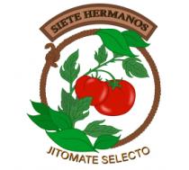 SIETE HERMANOS; JITOMATE SELECTO