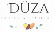 DÜZA FRUTOS & SEMILLAS