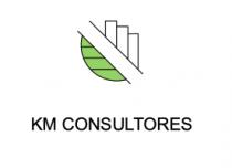 KM CONSULTORES