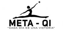 META-QI 