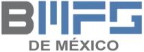 BMFG DE MÉXICO