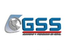 GLOBAL SECURITY SOLUTIONS