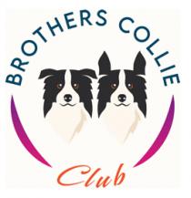 BROTHERS COLLIE CLUB