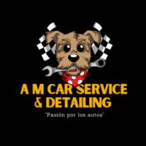 AM CAR SERVICE Y DETAILING