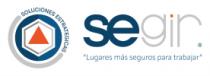 SEGIR 