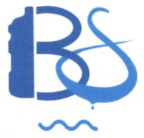 BS