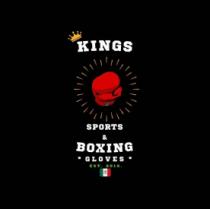 KINGS SPORTS & BOXING GLOVES ETC. 2019