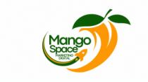 MANGO SPACE MARKETING DIGITAL