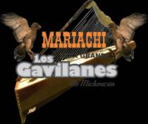 MARIACHI DE ARPA GRANDE LOS GAVILANES DE MICHOACAN