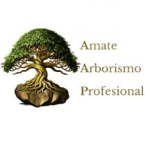 AMATE ARBORISMO