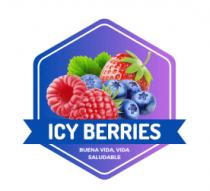 ICY BERRIES; BUENA VIDA; VIDA SALUDABLE