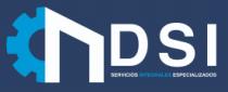 DSI SERVICIOS INTEGRALES ESPECIALIZADOS