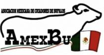 ASOCIACION MEXICANA DE CRIADORES DE BUFALO AMEXBU