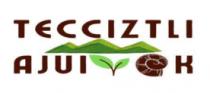 TECCIZTLI AJUIYAK