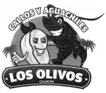 CALLOS Y AGUACHILES LOS OLIVOS CULIACAN