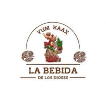 YUM KAAX LA BEBIDA DE LOS DIOSES