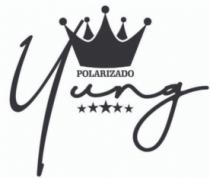 YUNG POLARIZADO