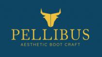 PELLIBUS AESTHETIC BOOT CRAFT