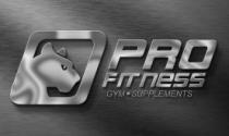 PRO FITNESS GYM SUPPLEMENTS