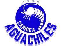 CARIDEA AGUACHILES