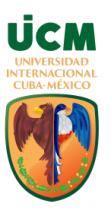 SE PROTEGE LAS LETRAS UICM EN COLOR VERDE; EL NOMBRE UNIVERSIDAD INTERNACIONAL CUBA-MÉXICO COLOR AMARILLO; MUESTRA UN ESCUDO CONTORNO VERDE FONDO AMARILLO; AGUILA Y TOCORO UNIDAS POR LA ESPALDA; DEBAJO DE ELLAS RAMA DE ENCINA Y LAUREL.