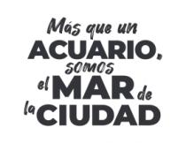 MÁS QUE UN ACUARIO; SOMOS EL MAR DE LA CIUDAD