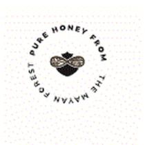 PURE HONEY FROM THE MAYAN FOREST