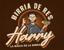 BIRRIA DE RES HARRY LA MAGIA DE LA BIRRIA