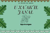 U XA'AK'IL JANAL LA MEJOR DE ABALA