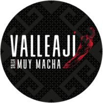 VALLEAJI SALSA MUY MACHA