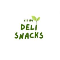 FIT BY DELI SNACKS