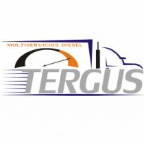 TERGUS MULTISERVICIOS DIESEL