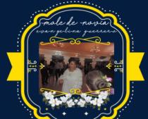 MOLE DE NOVIA