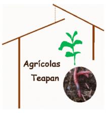 AGRÍCOLAS TEAPAN