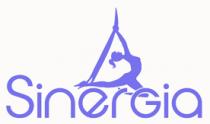 SINERGIA CENTRO INTEGRAL DE ENTRENAMIENTO ARTISTICO Y DEPORTIVO