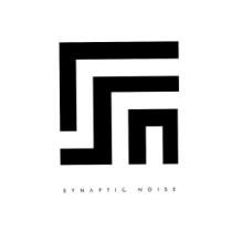 SYNAPTIC NOISE