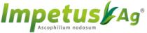 IMPETUS AG