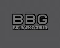 BIG BACK GORILLA
