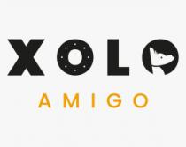 XOLO AMIGO